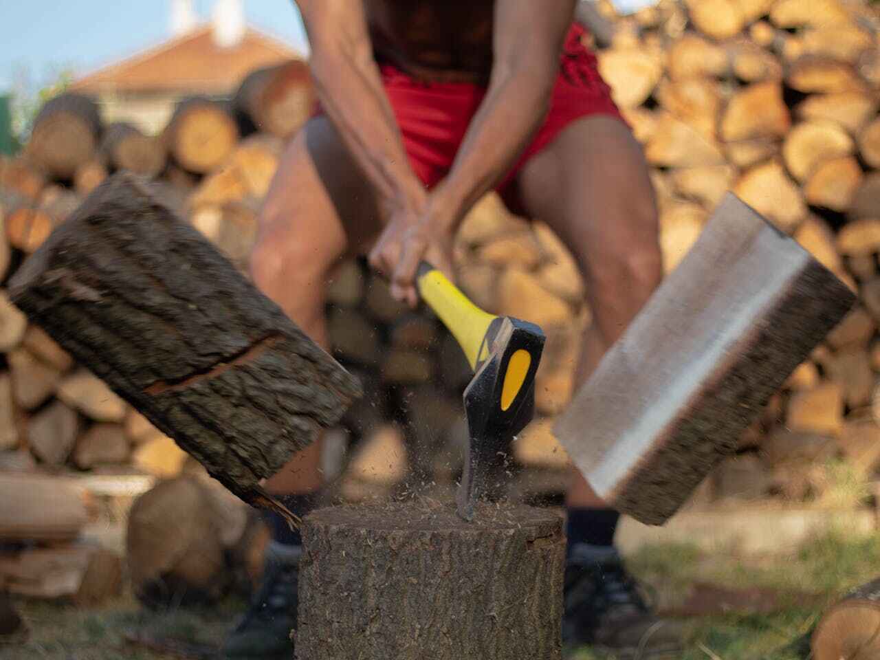 Dead Tree Removal in Holly Hill, FL